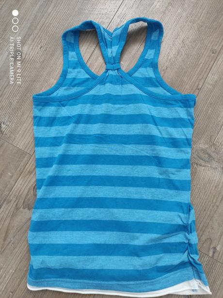 Modre pasikove tielko, s