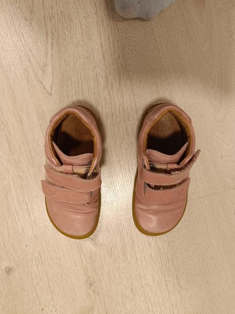 Lurchi v.23, lurchi,23