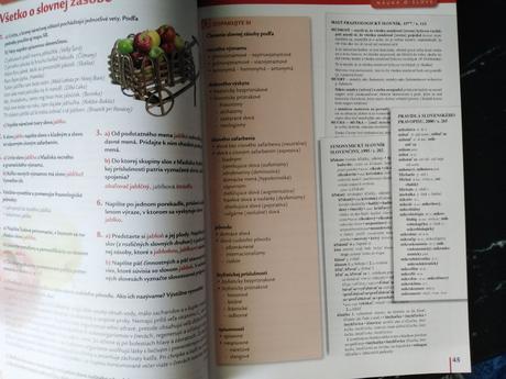 Slovenský jazyk 9,