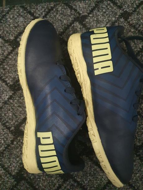 Halovky, puma,29