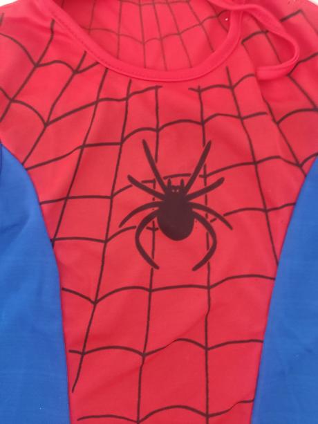 Karnevalový kostym, 