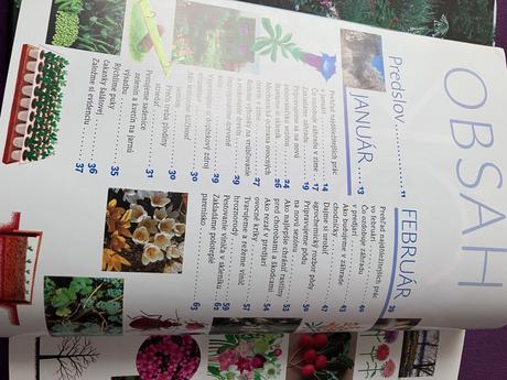 Rok v našej záhrade, 