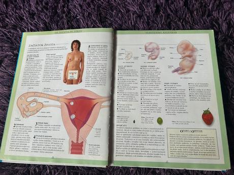 Veľká kniha o matke a dieťati, 