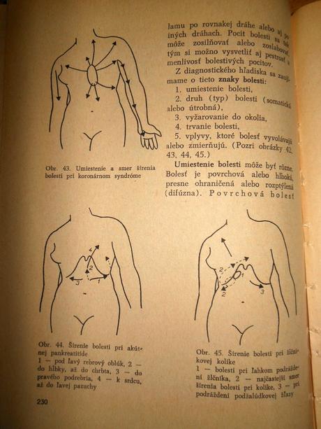 Vnútorné lekárstvo,