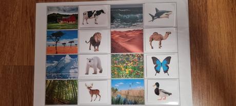 Aktivita "nájdi domov zvieratku",