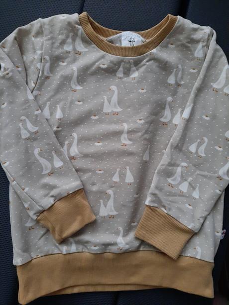 Mikina húsky amanita, 110