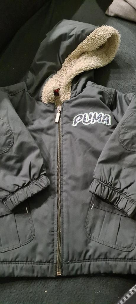 Vetrovka, puma,86