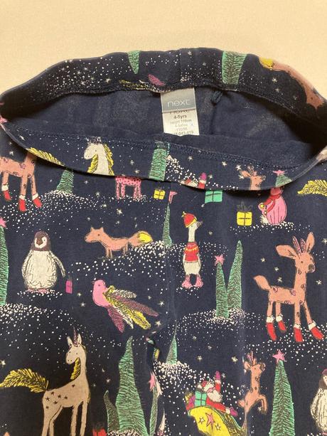 Vianocne leginy, next,110