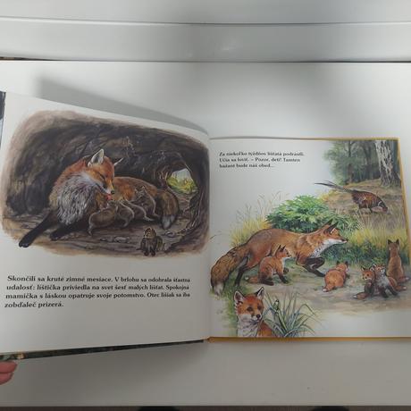 Po stopach lisiacika,