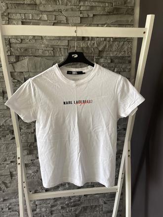 Karl lagerfeld v.s male m, s