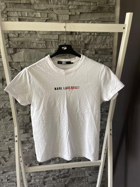 Karl lagerfeld v.s male m, s
