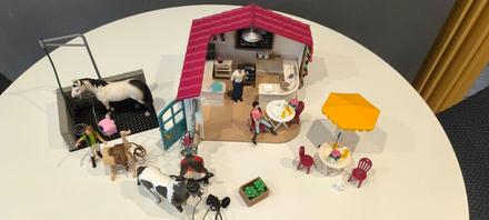 Kaviareň pre kone, plus stajňa, 