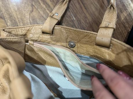 Coccinelle, coccinelle