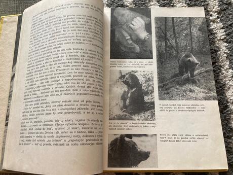 Živé poklady prvé vydanie 1963,