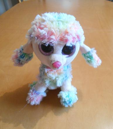 Dúhový pudlík ty s veľkými očami,