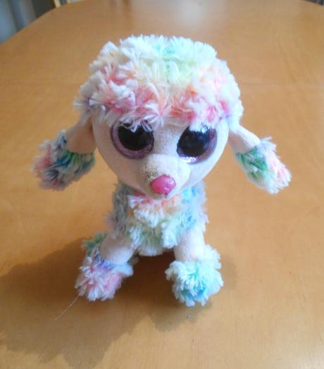 Dúhový pudlík ty s veľkými očami,