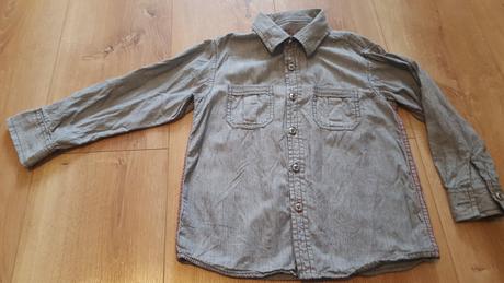 Pruhovaná kosela, rebel,104