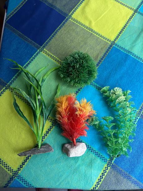 Akvarijné rastliny,