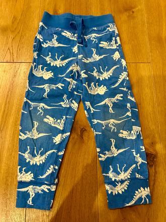 Teplaky s dinosaurami, gap,110