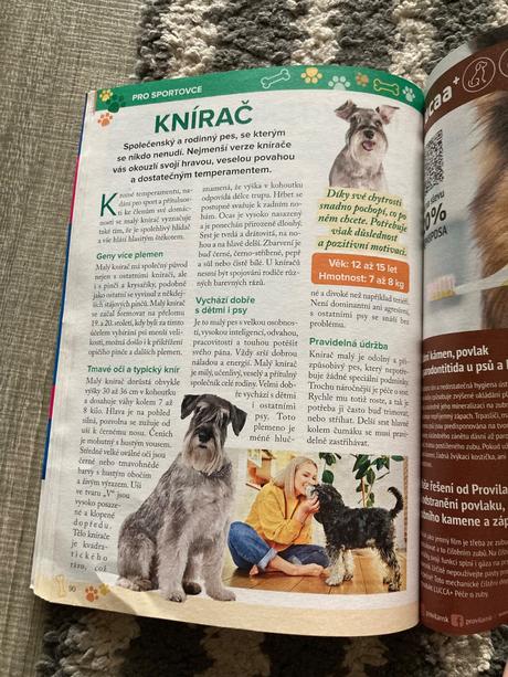 425 skvělých tipů, jak si vybrat nejlepšího pejska, 