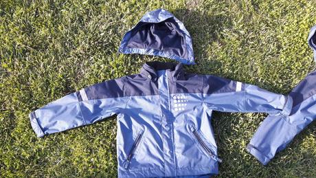 Jarne vetrovky, lindex,122