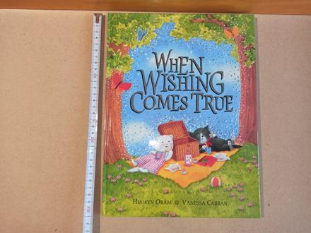 When wishing coms true hb, 