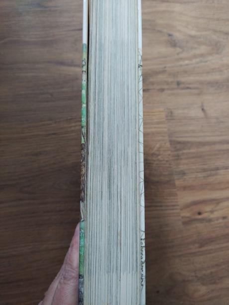 Objavovanie ameriky, 