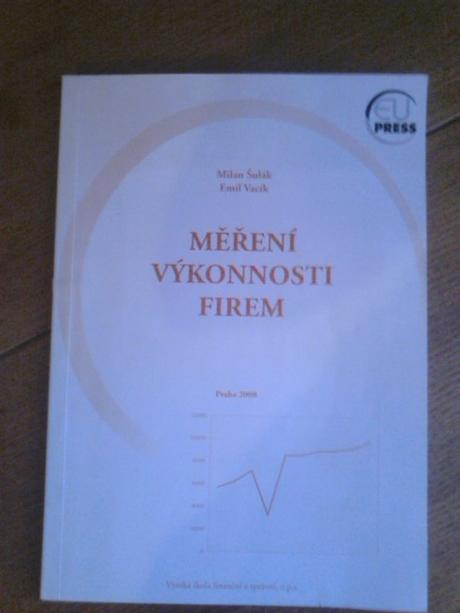 Měření výkonnosti firem - milan šulák, emil vacík,