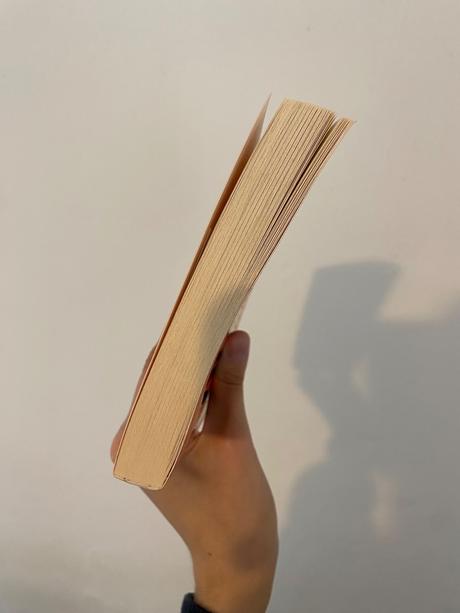 Violets - autor kyung-sook shin, 