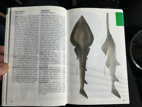 Kniha morské ryby, 