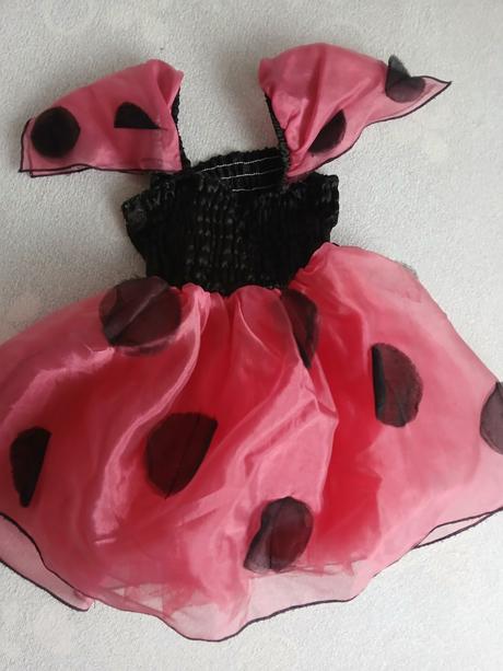 Kostým na karneval - lienka,