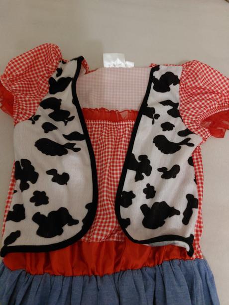 Karnevalové šaty s, 