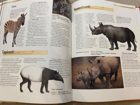 Savci vědomosti v kostce anatomie chování oblasti, 