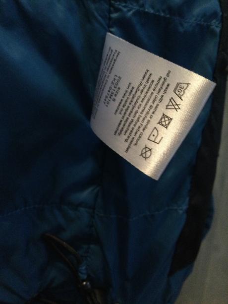 Bunda arqueonautas, s