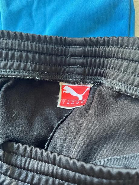 Puma suprava, puma,s