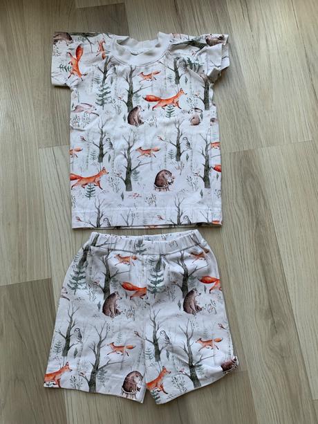 Pyzamkovo v80/86, 80