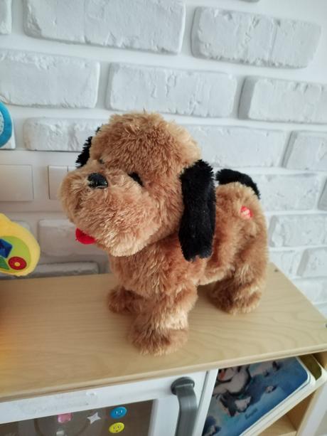 Psik šteká, trošku sa hýbe,