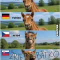 krasna je ta nasa slovencina