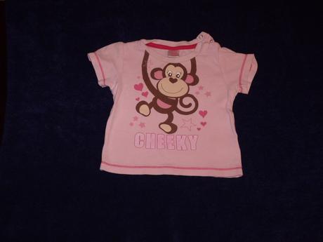 Tricko, cactus clone,80