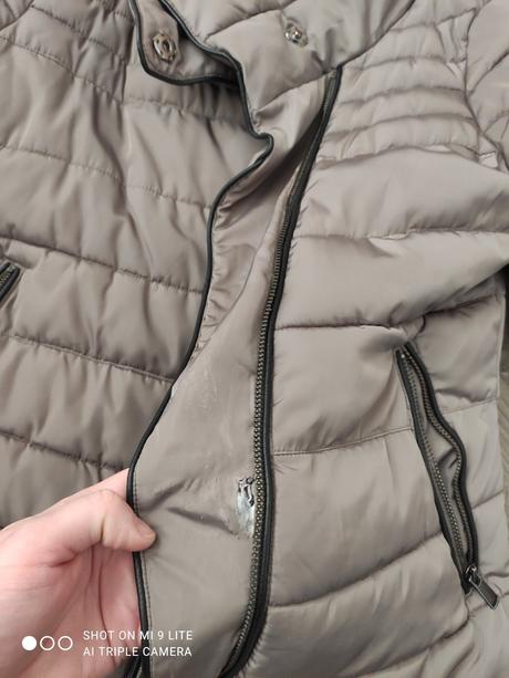 Bezova bundicka calliope, l