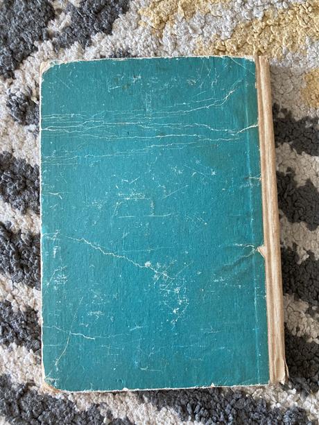 Odvážna školáčka (1958), 