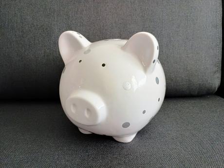 Pokladnička prasiatko,