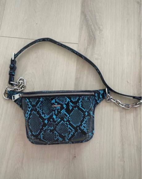 Hadia ladvinka, carpisa