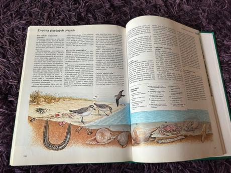 Abc přírody,