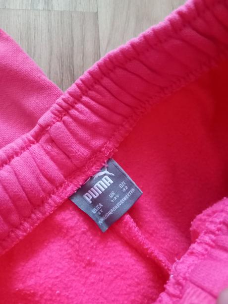 Suprava puma, puma,92