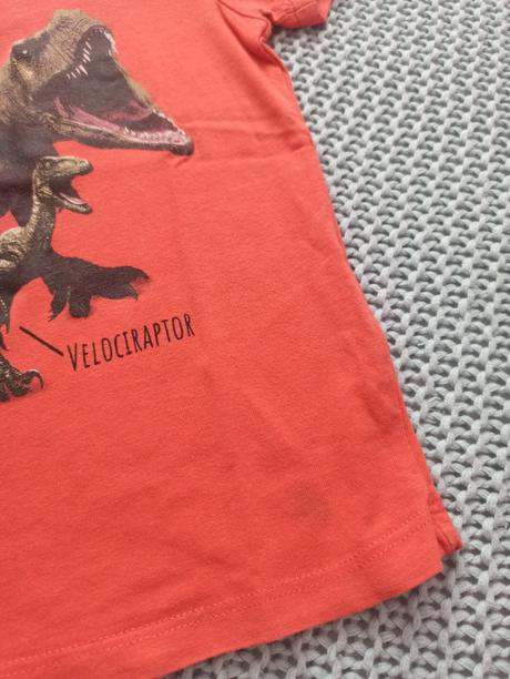 Balík oblečenia veľ.92/98 pre dinomaniaka, 86–98