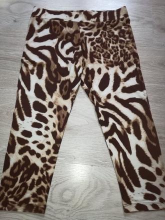 Tigrované legíny, 36