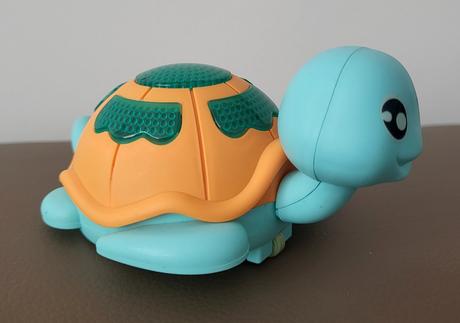 Chodiaca korytnačka, 