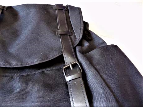 Priestranný rupsak, 