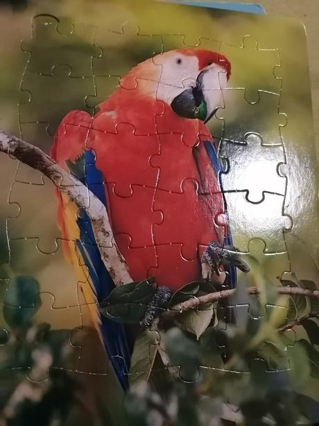 Zvieratká v pralese 6x puzzle, 